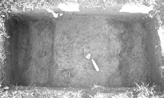 Excavation of the Flint House barnyard.