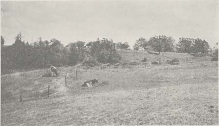 Oriskany Battlefield