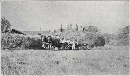 Threshing Along the Mohawk Turnpike